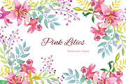 Pink Lilies.Watercolor clipart.