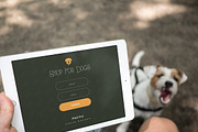 iPad Pro & a dog - 4 photo mockups