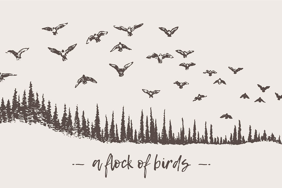 Birds flying over a fir forest in Illustrations - product preview 8