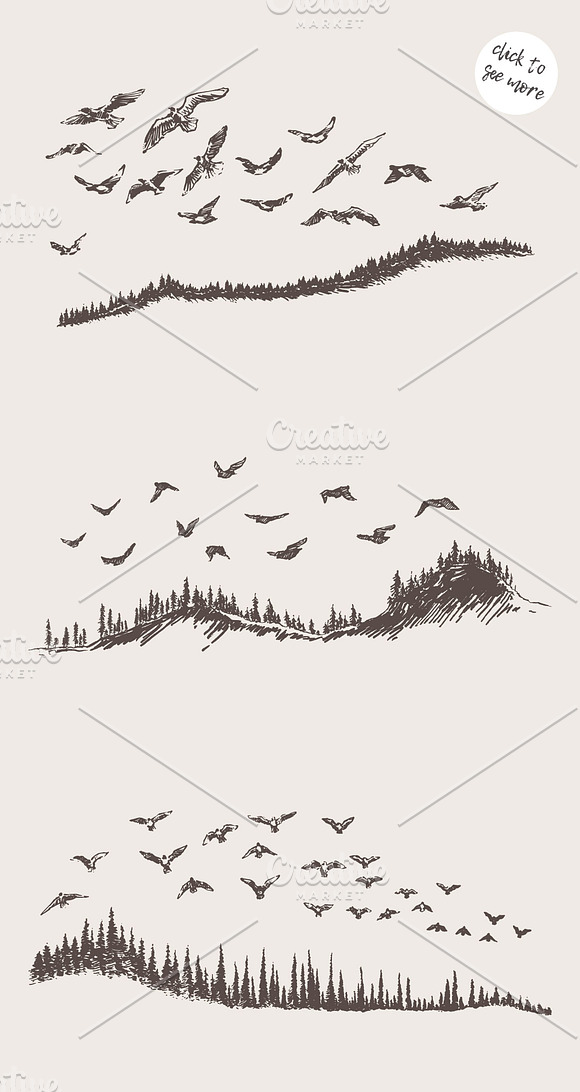 Birds flying over a fir forest in Illustrations - product preview 1