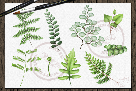 Fern Watercolor Clipart in Illustrations - product preview 2