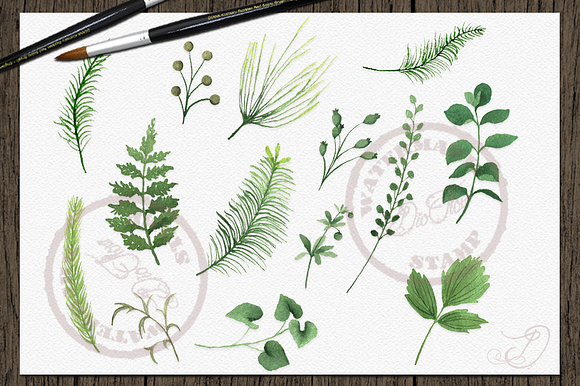 Fern Watercolor Clipart in Illustrations - product preview 3