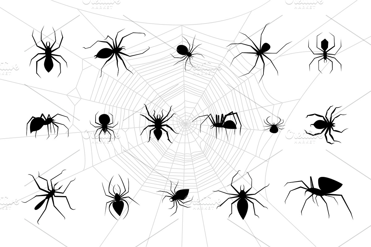 spiders vector set in Illustrations - product preview 8