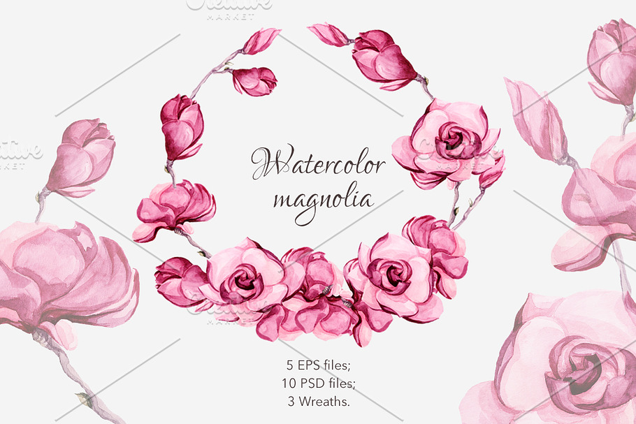 Watercolor magnolia in Illustrations - product preview 8