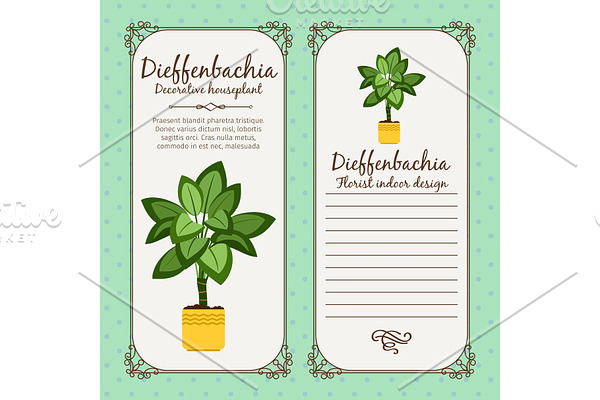Vintage label with dieffenbachia plant
