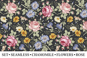 Set Seamless Flowers Rose Chamomile