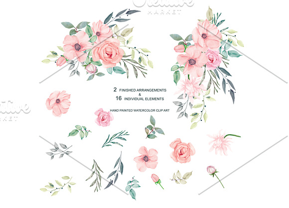 Watercolor Blush Roses Set in Illustrations - product preview 2