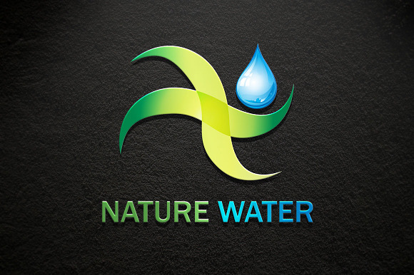 Nature water Logo in Logo Templates - product preview 1