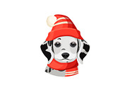 Dalmatian puppy in red hat with pompon and scarf vector