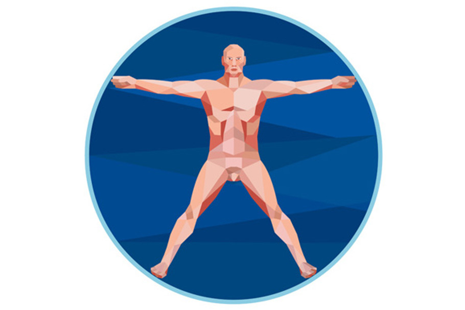 Da Vinci Man Anatomy Low Polygon in Illustrations - product preview 8