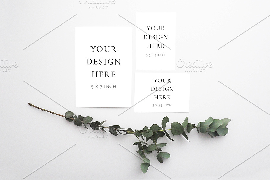 Euaclyptus Stationery Suite Mockup in Print Mockups - product preview 8