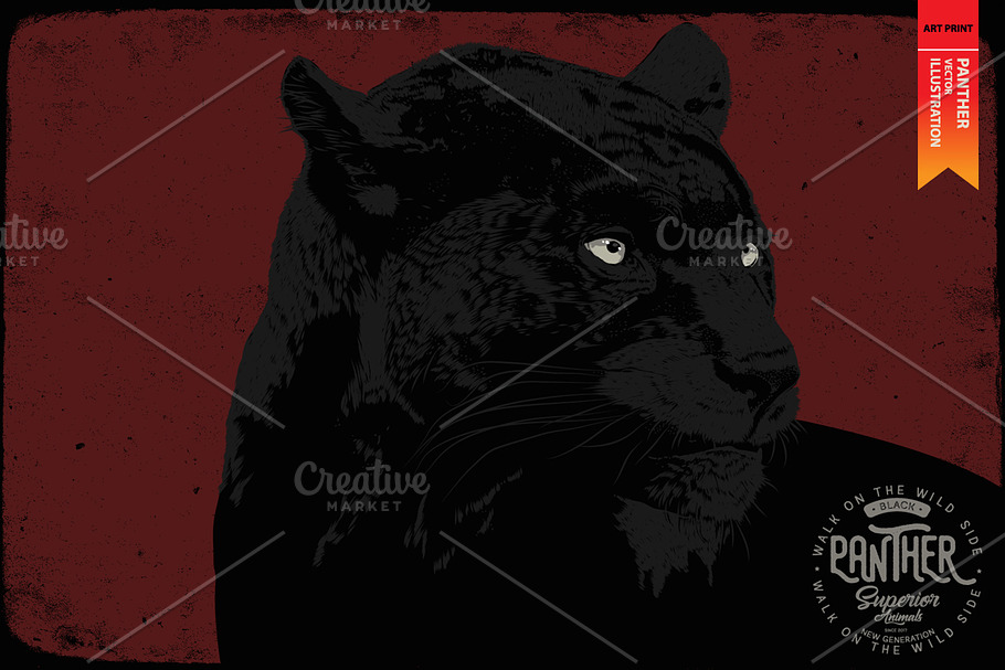 PANTHER - Vector illustration