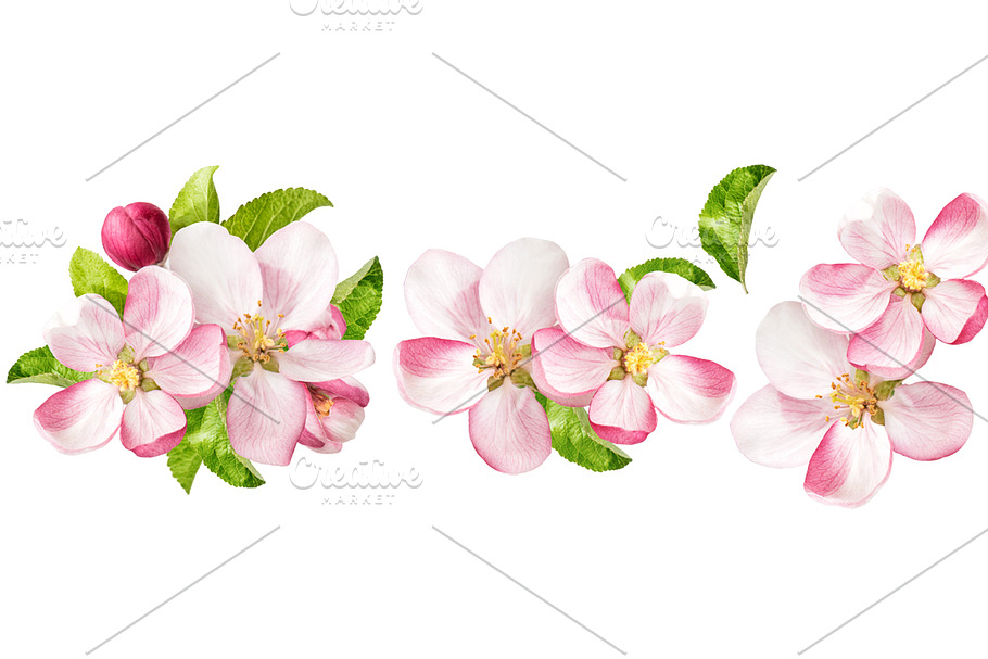 Apple tree blossoms in Objects - product preview 8