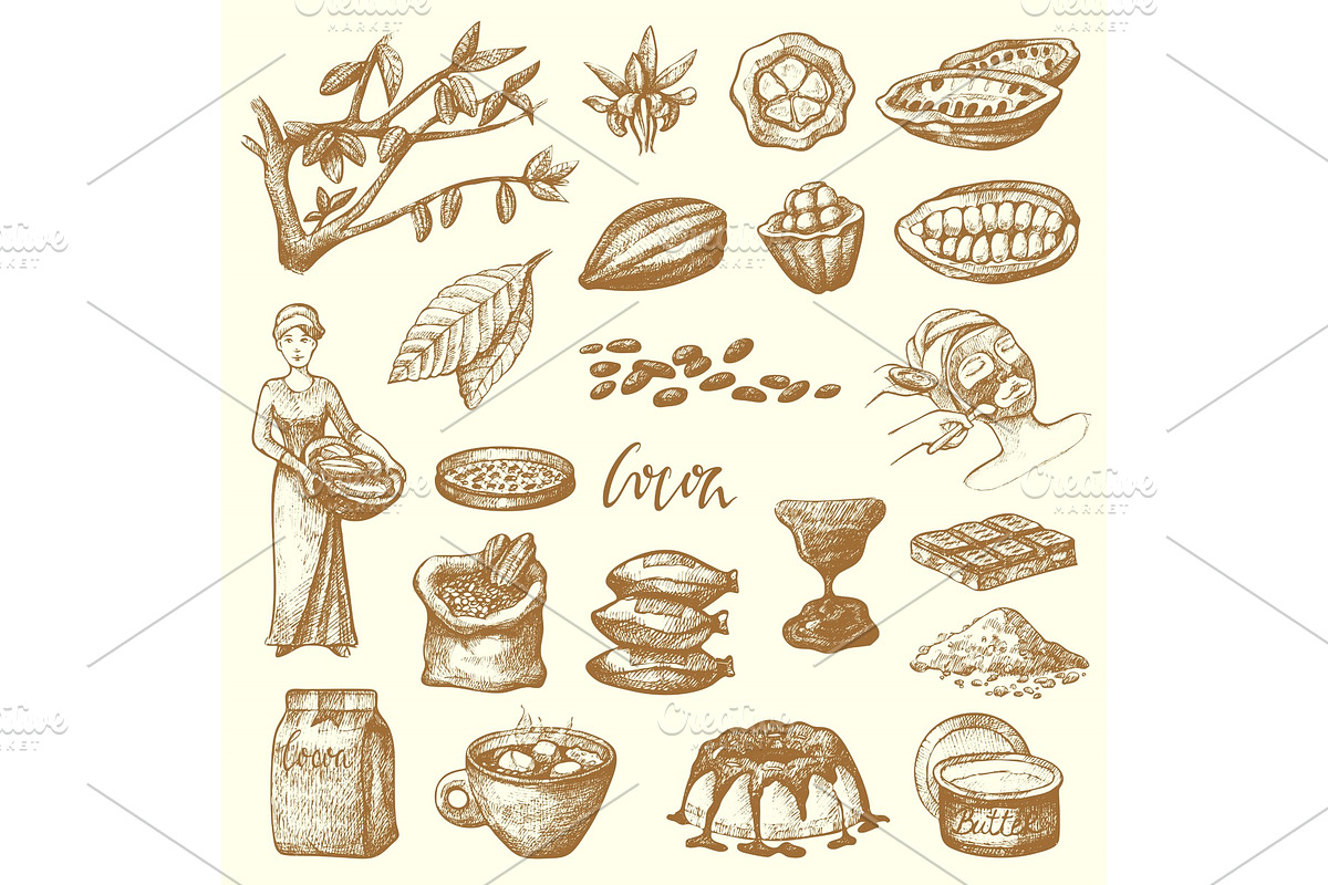 Vector cocoa products handdrawn sketch doodle food chocolate cacao production sweet illustration. in Objects - product preview 8