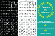 Hand drawn floral vector elements