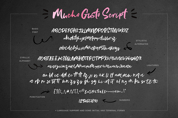 Mucho Gusto Font Family in Script Fonts - product preview 4