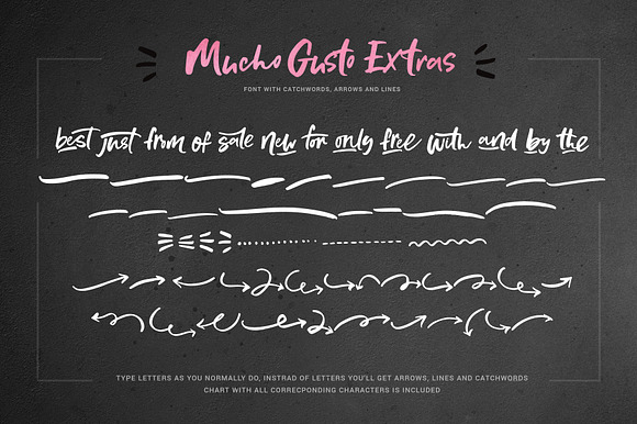 Mucho Gusto Font Family in Script Fonts - product preview 5