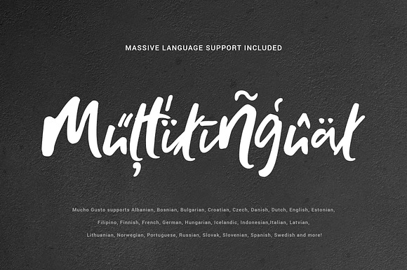 Mucho Gusto Font Family in Script Fonts - product preview 8