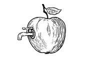 Apple fruit with tap engraving vector illustration