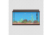 Fish tank. Aquarium illustration with fishes stones and plants.