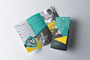 Tri-Fold Multipurpose Brochure 