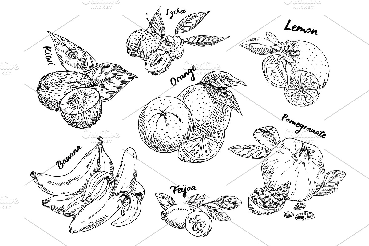 Sketches of banana, pomegranate and kiwi, orange in Illustrations - product preview 8