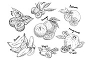 Sketches of banana, pomegranate and kiwi, orange