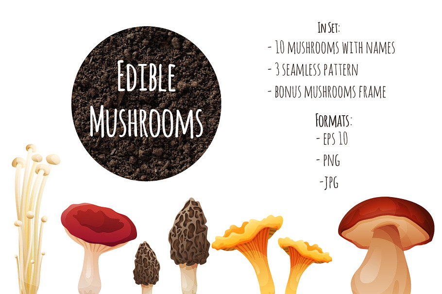 Edible Mushrooms in Objects - product preview 8