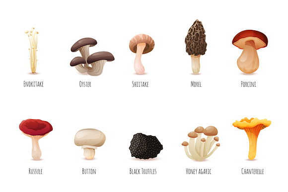 Edible Mushrooms in Objects - product preview 1