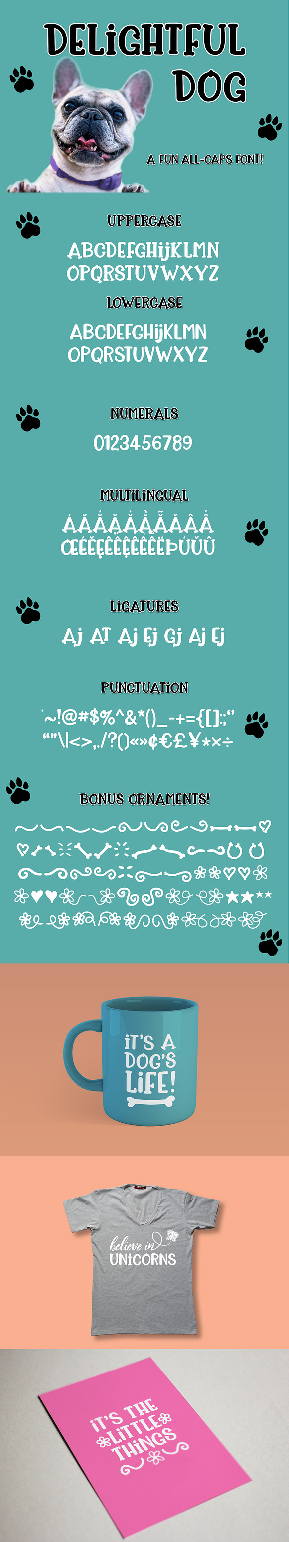 Delightful Dog in Script Fonts - product preview 8