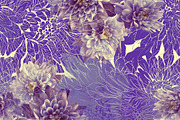 chrysanthemums mix seamless | JPEG