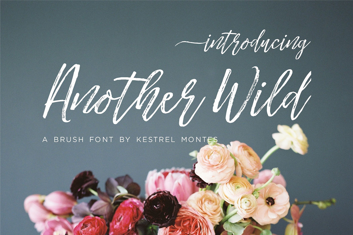 Another Wild Modern Brush Script in Script Fonts - product preview 8