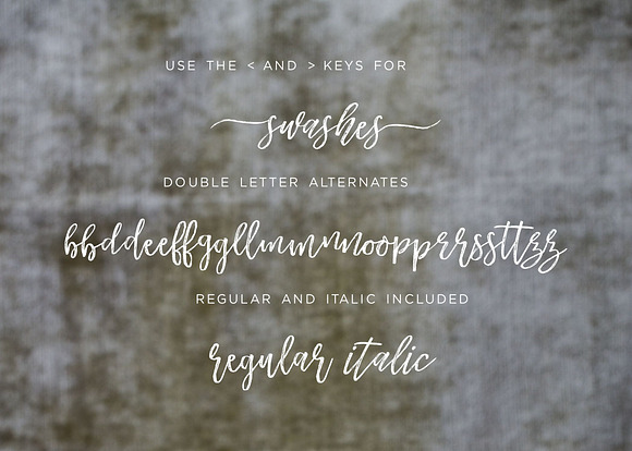 Another Wild Modern Brush Script in Script Fonts - product preview 2
