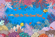 Life on Coral Reef