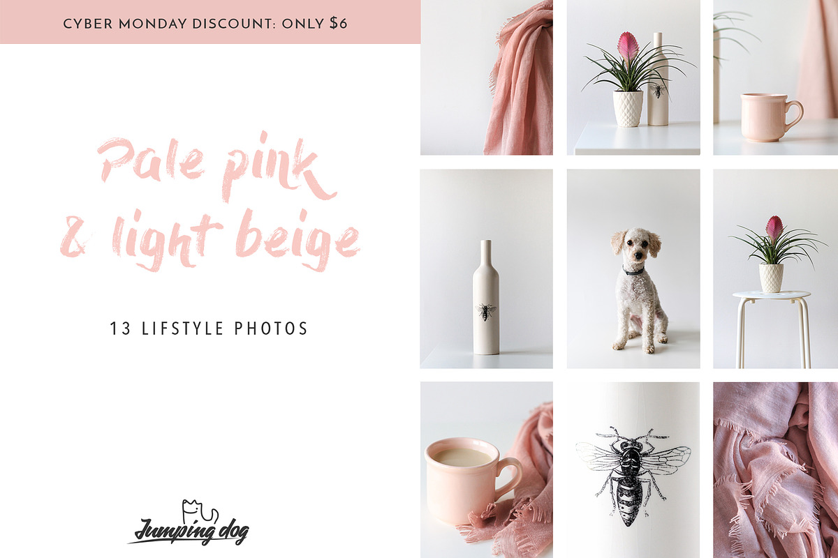 Pale Pink & Soft Beige Photo Pack in Social Media Templates - product preview 8
