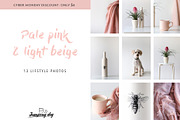Pale Pink & Soft Beige Photo Pack