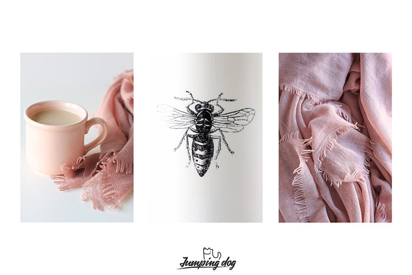Pale Pink & Soft Beige Photo Pack in Social Media Templates - product preview 1