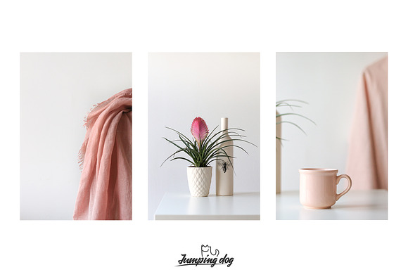 Pale Pink & Soft Beige Photo Pack in Social Media Templates - product preview 3