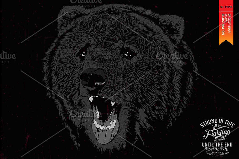 GRIZZLY BEAR - Vector illustration