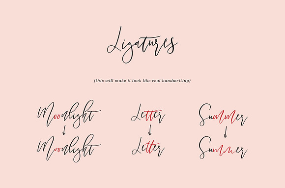 Salome Signature Font in Script Fonts - product preview 5