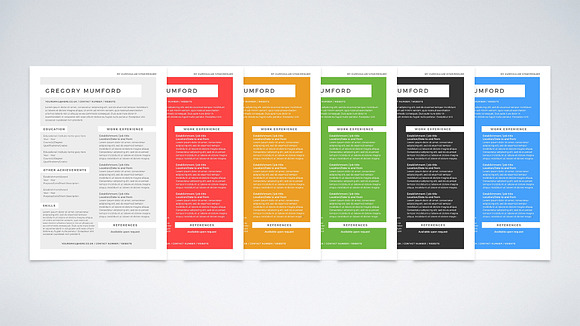 Echo CV/Resume (DOC + PSD) in Resume Templates - product preview 1