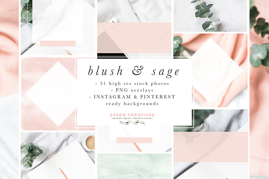 Blush Sage Stock Photo Social Bundle