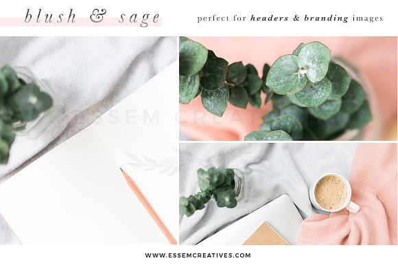 Blush Sage Stock Photo Social Bundle in Instagram Templates - product preview 1