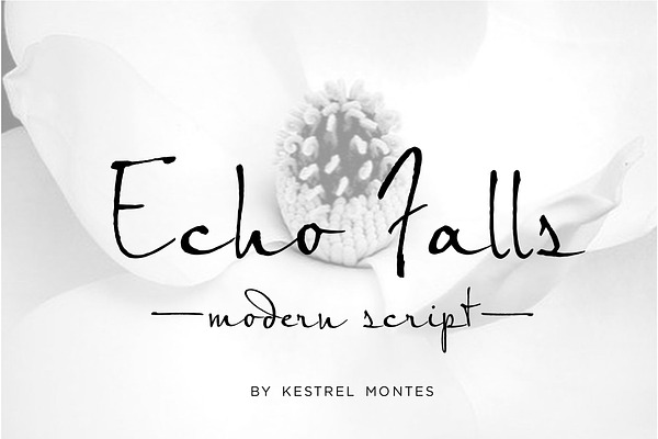 Echo Falls Modern Script