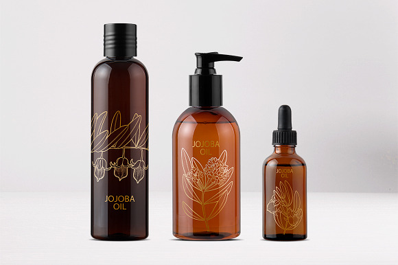 Graphic and watercolor jojoba plants in Illustrations - product preview 4