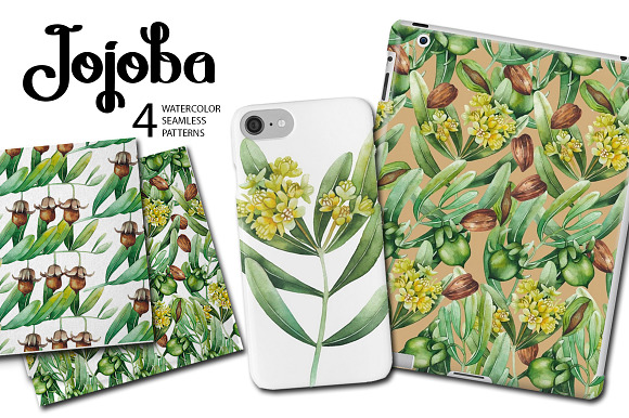 Graphic and watercolor jojoba plants in Illustrations - product preview 6