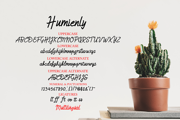 Humienly font in Script Fonts - product preview 9