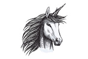 Unicorn mystic magic horse animal vector sketch