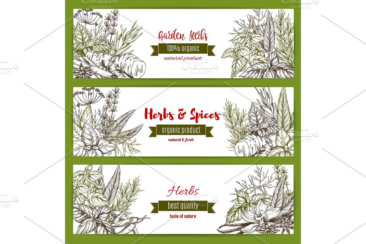 Vector temlpates set for spice and herbs market in Illustrations - product preview 8