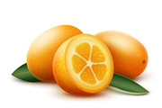 Orange kumquat fruits with leaves